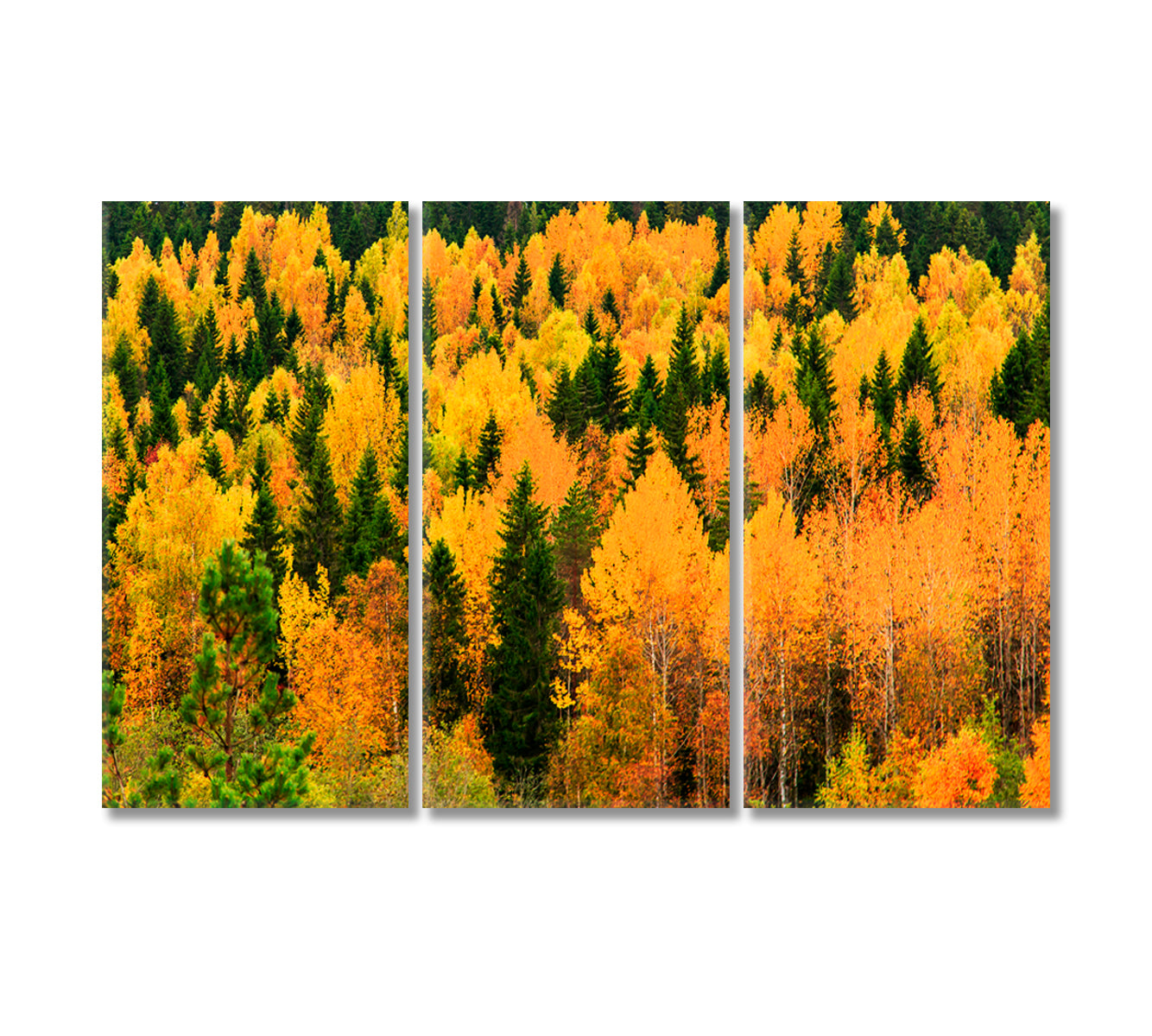 Autumn Forest with Yellow and Green Trees Canvas Print-Canvas Print-CetArt-3 Panels-36x24 inches-CetArt