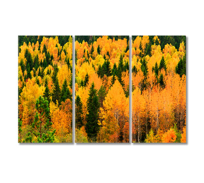 Autumn Forest with Yellow and Green Trees Canvas Print-Canvas Print-CetArt-3 Panels-36x24 inches-CetArt