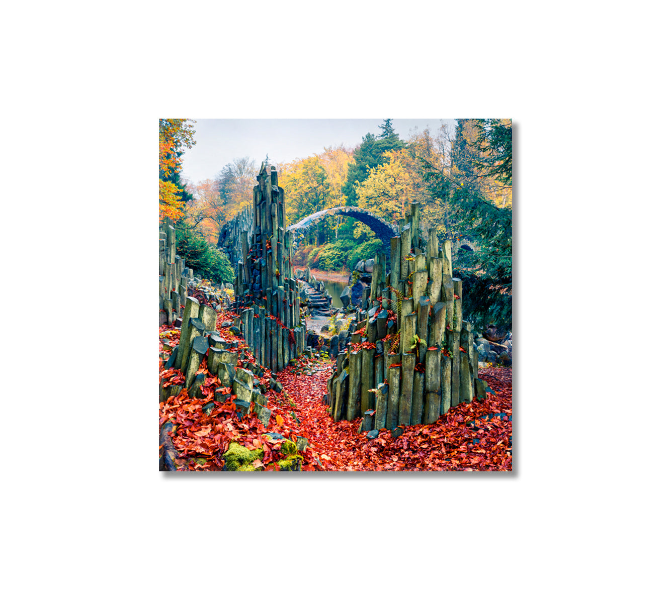 Azalea and Rhododendron Park Kromlau Germany Canvas Print-Canvas Print-CetArt-1 panel-12x12 inches-CetArt