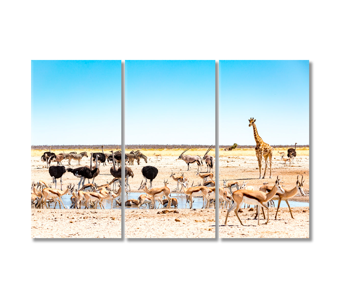 Wild Animals at Waterhole M'bari Etosha National Park Canvas Print-Canvas Print-CetArt-3 Panels-36x24 inches-CetArt