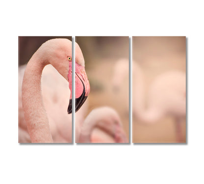 Flamingo Close Up Canvas Print-Canvas Print-CetArt-3 Panels-36x24 inches-CetArt