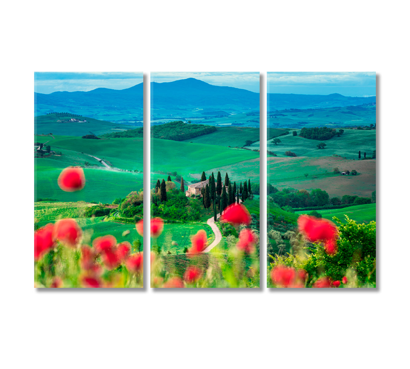 Tuscany Landscape with Poppy Flowers Canvas Print-Canvas Print-CetArt-3 Panels-36x24 inches-CetArt