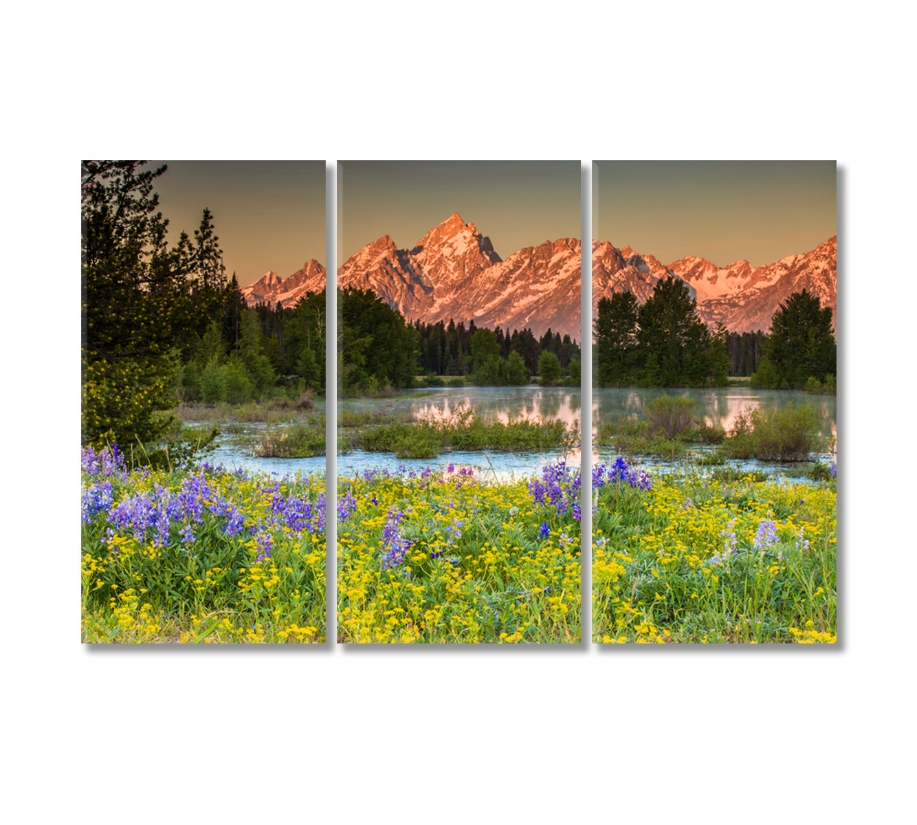 Nature Landscape Grand Teton National Park Canvas Print-Canvas Print-CetArt-3 Panels-36x24 inches-CetArt