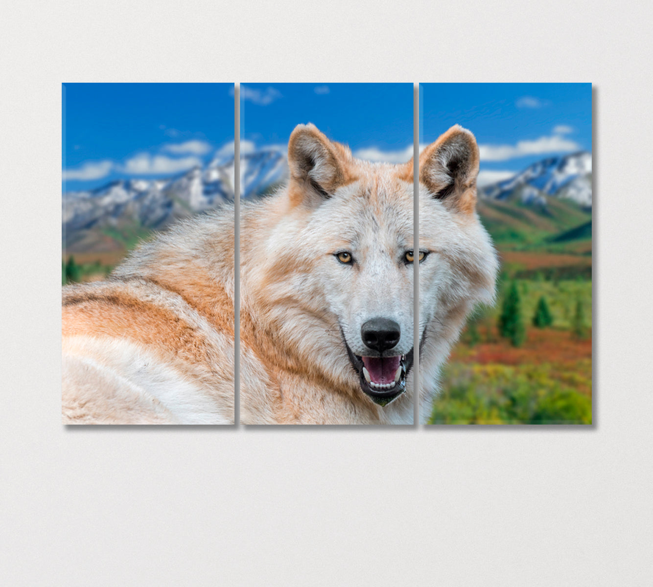 Northwestern Wolf Canvas Print-Canvas Print-CetArt-3 Panels-36x24 inches-CetArt