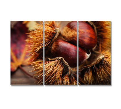 Сhestnuts Canvas Print-Canvas Print-CetArt-3 Panels-36x24 inches-CetArt