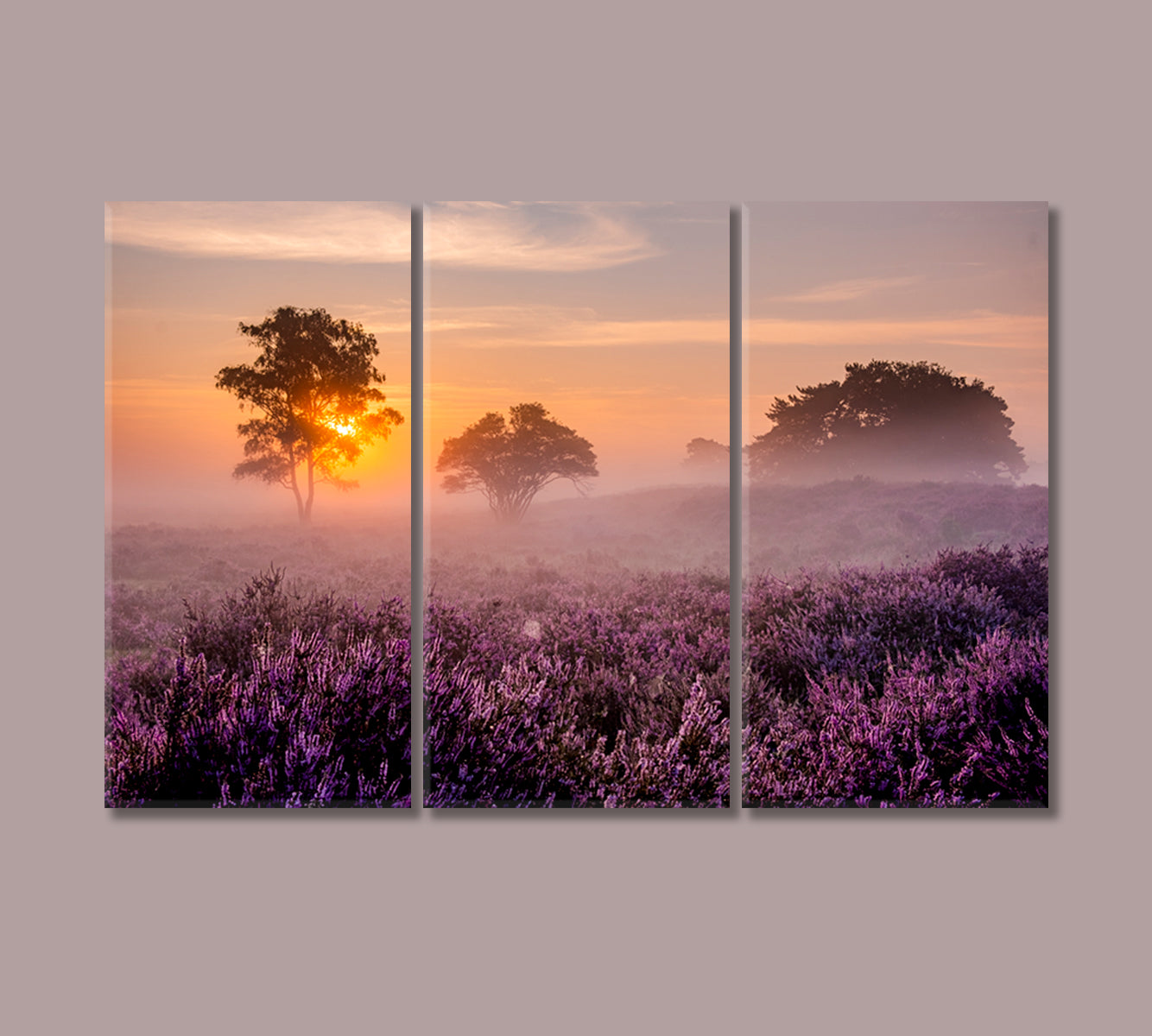 Blooming Heather Field Canvas Print-Canvas Print-CetArt-3 Panels-36x24 inches-CetArt