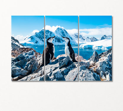 Pair of Chinstrap Penguins Canvas Print-Canvas Print-CetArt-3 Panels-36x24 inches-CetArt