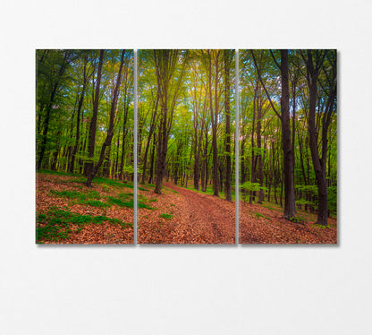 Spring Forest Landscape Canvas Print-Canvas Print-CetArt-3 Panels-36x24 inches-CetArt