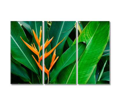 Strelitzia Bird Of Paradise Flower Canvas Print-Canvas Print-CetArt-3 Panels-36x24 inches-CetArt