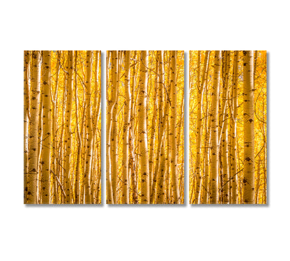 Autumn Yellow Aspen Trees in Uncompahgre National Forest Colorado Canvas Print-Canvas Print-CetArt-3 Panels-36x24 inches-CetArt