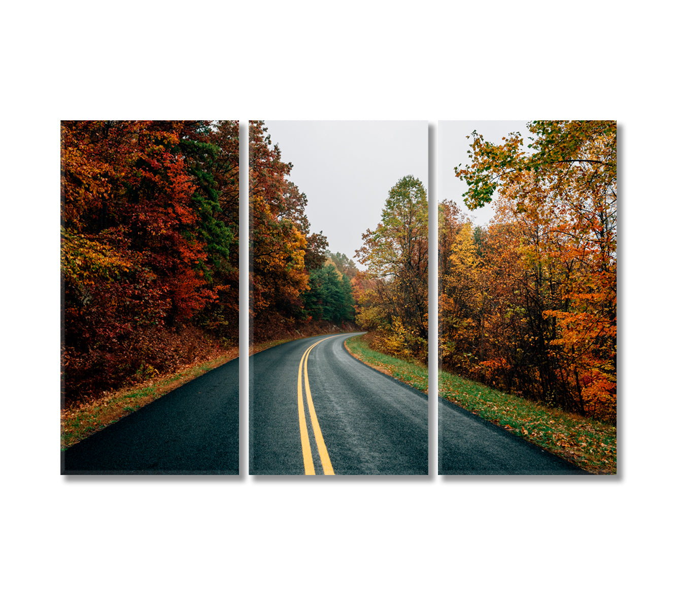 Ridge Parkway in Virginia Canvas Print-Canvas Print-CetArt-3 Panels-36x24 inches-CetArt