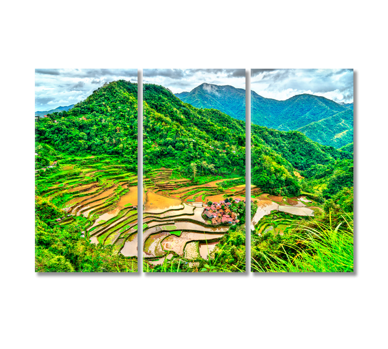 Bangaan Rice Terraces Philippines Canvas Print-Canvas Print-CetArt-3 Panels-36x24 inches-CetArt