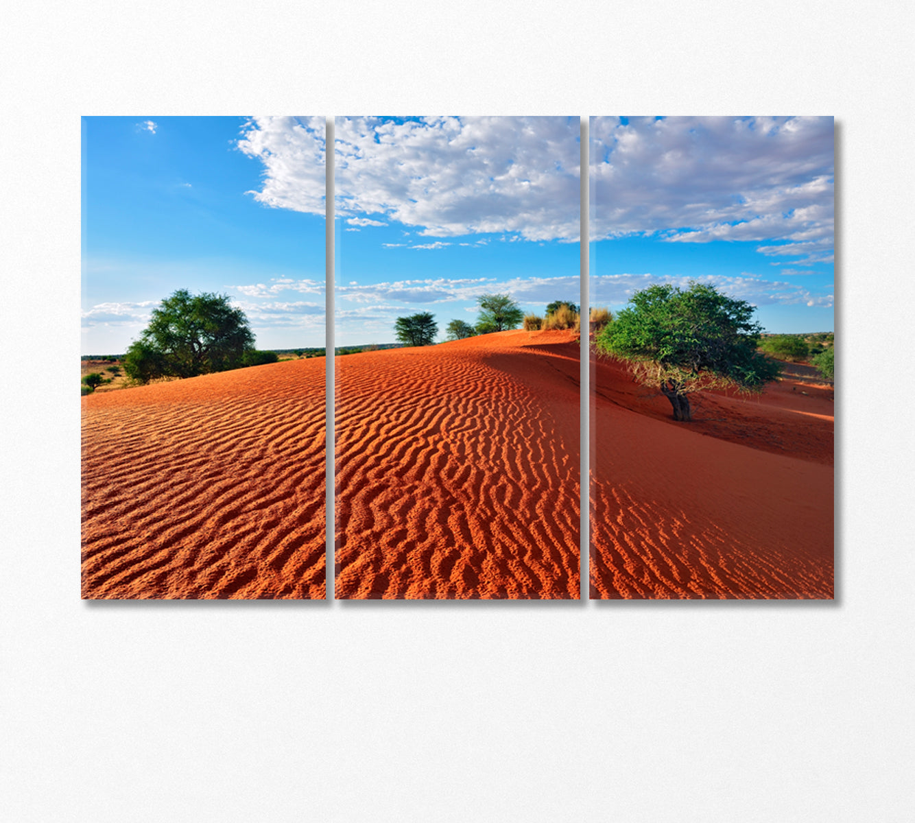 Big Red Dune with Sand Waves Canvas Print-Canvas Print-CetArt-3 Panels-36x24 inches-CetArt