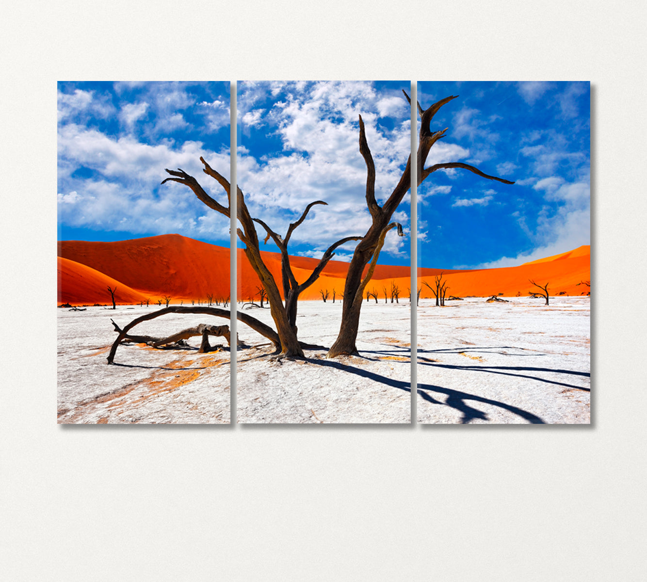 Dead Camel Thorns Trees in Namib Desert Africa Canvas Print-Canvas Print-CetArt-3 Panels-36x24 inches-CetArt