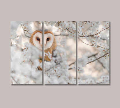 Bird Barn Owl on Blooming Cherry Canvas Print-Canvas Print-CetArt-3 Panels-36x24 inches-CetArt