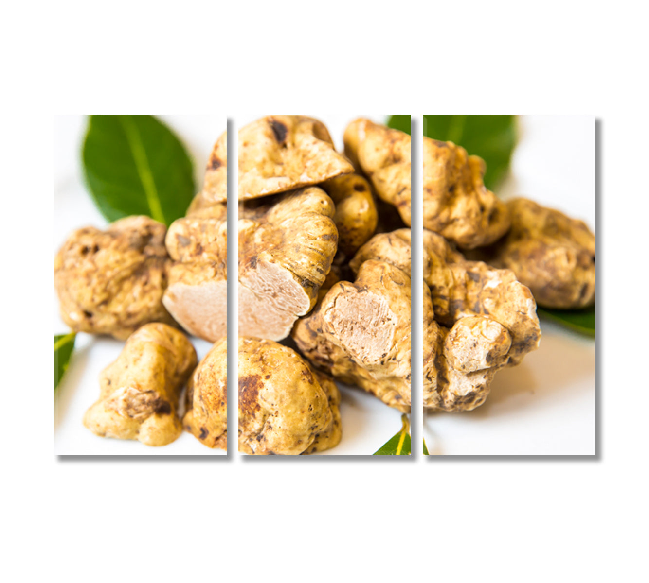 White Truffles Canvas Print-Canvas Print-CetArt-3 Panels-36x24 inches-CetArt