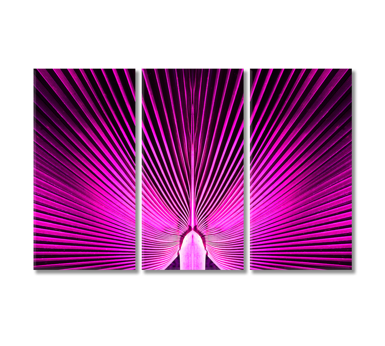 Abstract Purple Palm Leaves Canvas Print-Canvas Print-CetArt-3 Panels-36x24 inches-CetArt