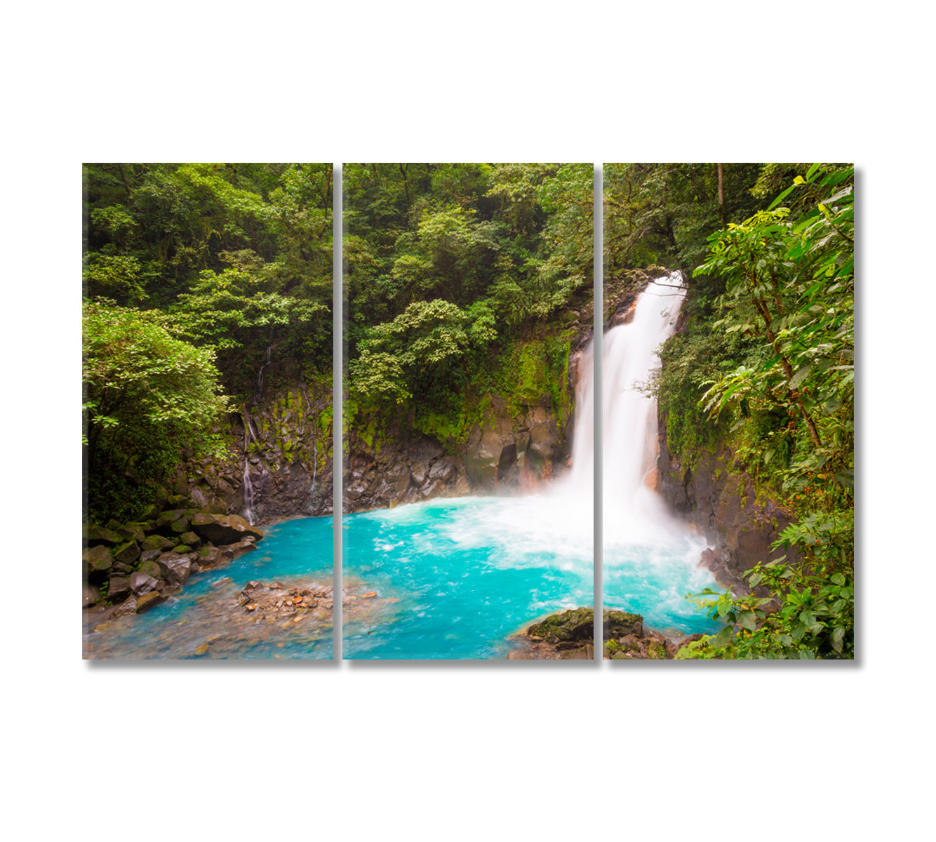 Tenorio Volcano National Park Costa Rica Canvas Print-Canvas Print-CetArt-3 Panels-36x24 inches-CetArt