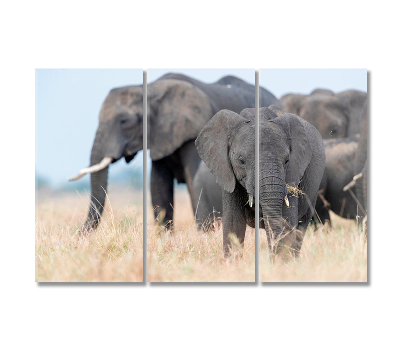 Elephant Family in Africa Canvas Print-Canvas Print-CetArt-3 Panels-36x24 inches-CetArt