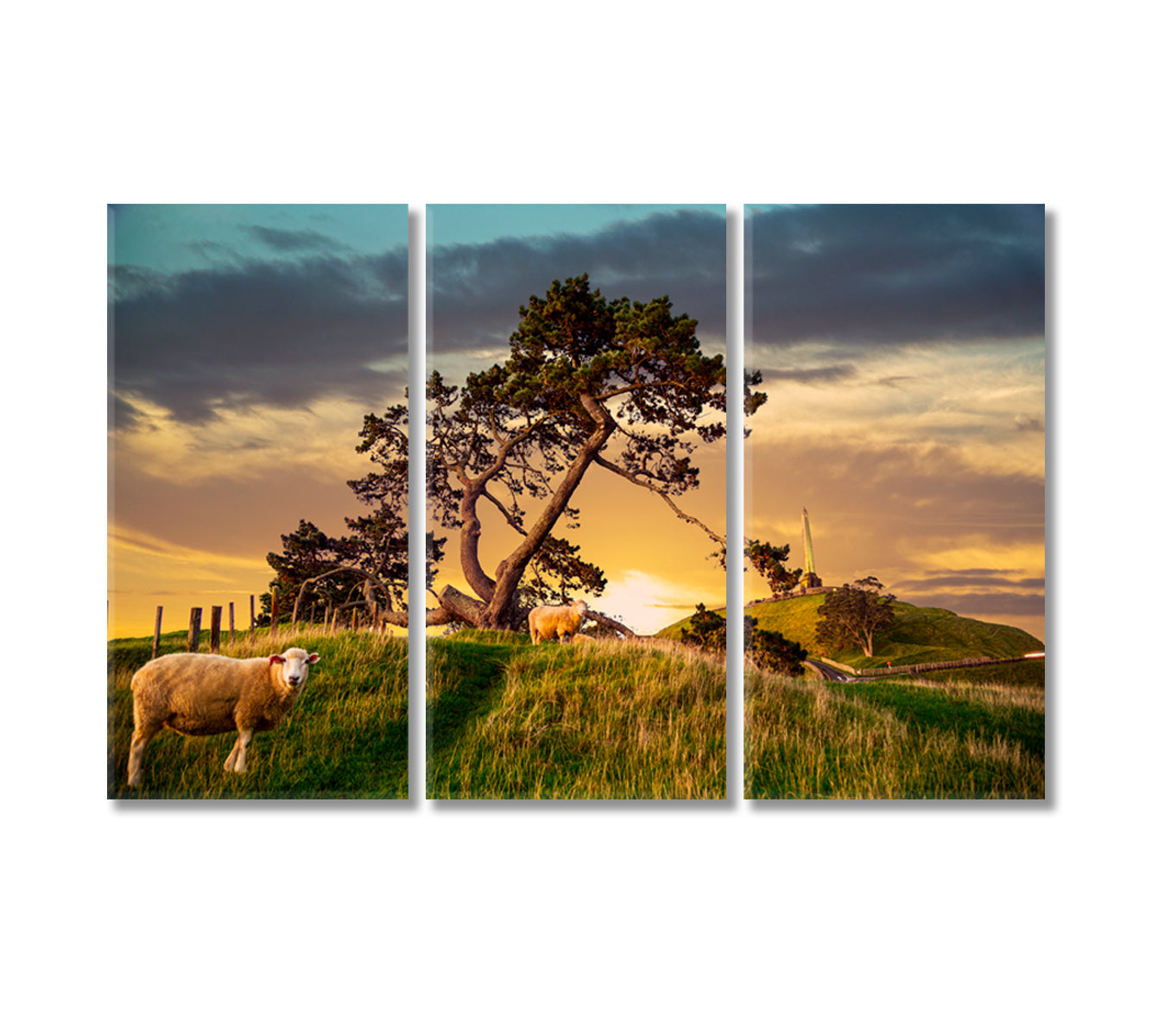 One Tree Hill in Auckland New Zealand Canvas Print-Canvas Print-CetArt-3 Panels-36x24 inches-CetArt