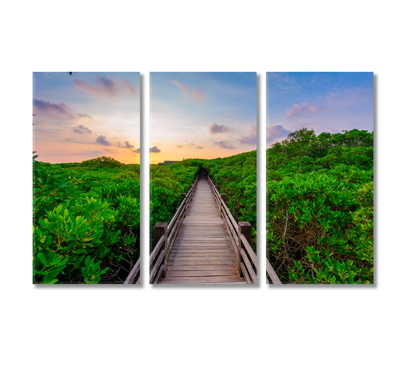 Mangrove Forest with Wood Walkway Canvas Print-Canvas Print-CetArt-3 Panels-36x24 inches-CetArt