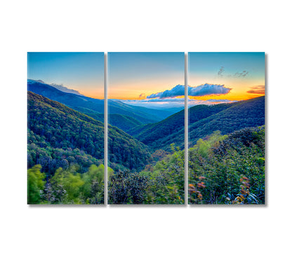 Blue Ridge Parkway Appalachian Mountains Canvas Print-Canvas Print-CetArt-3 Panels-36x24 inches-CetArt