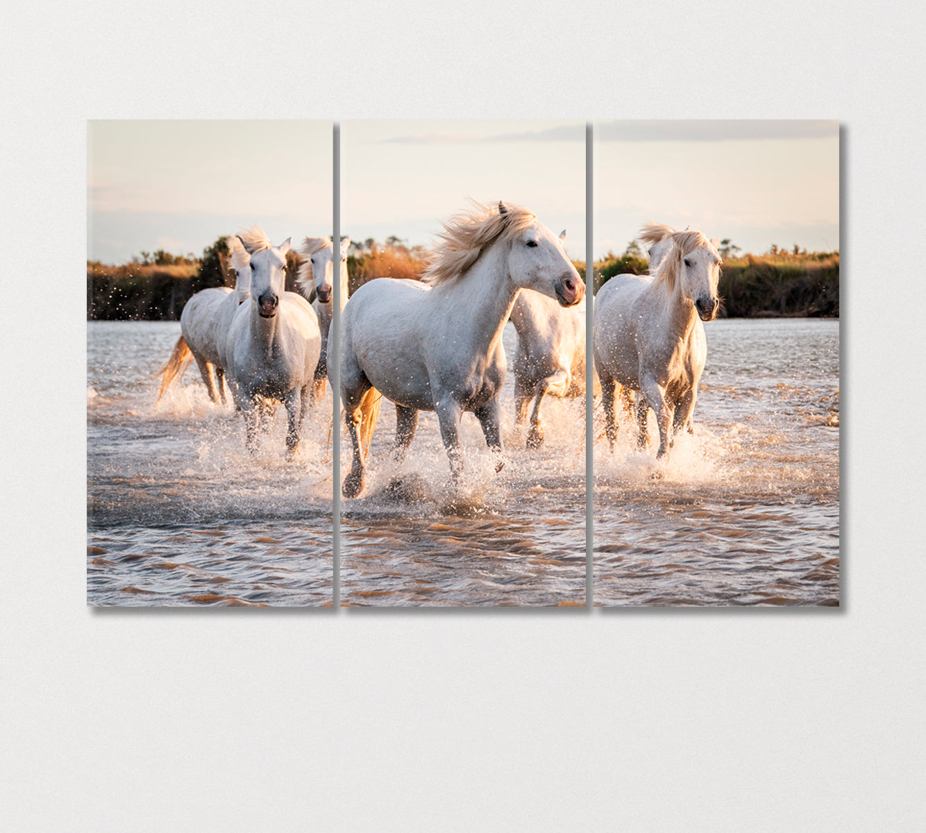 Herd of White Horses Galloping on Water Canvas Print-Canvas Print-CetArt-3 Panels-36x24 inches-CetArt