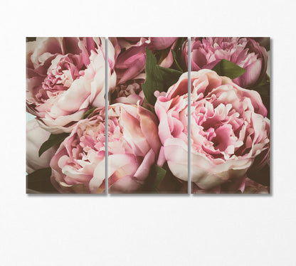 Delicate Peonies Canvas Print-Canvas Print-CetArt-3 Panels-36x24 inches-CetArt