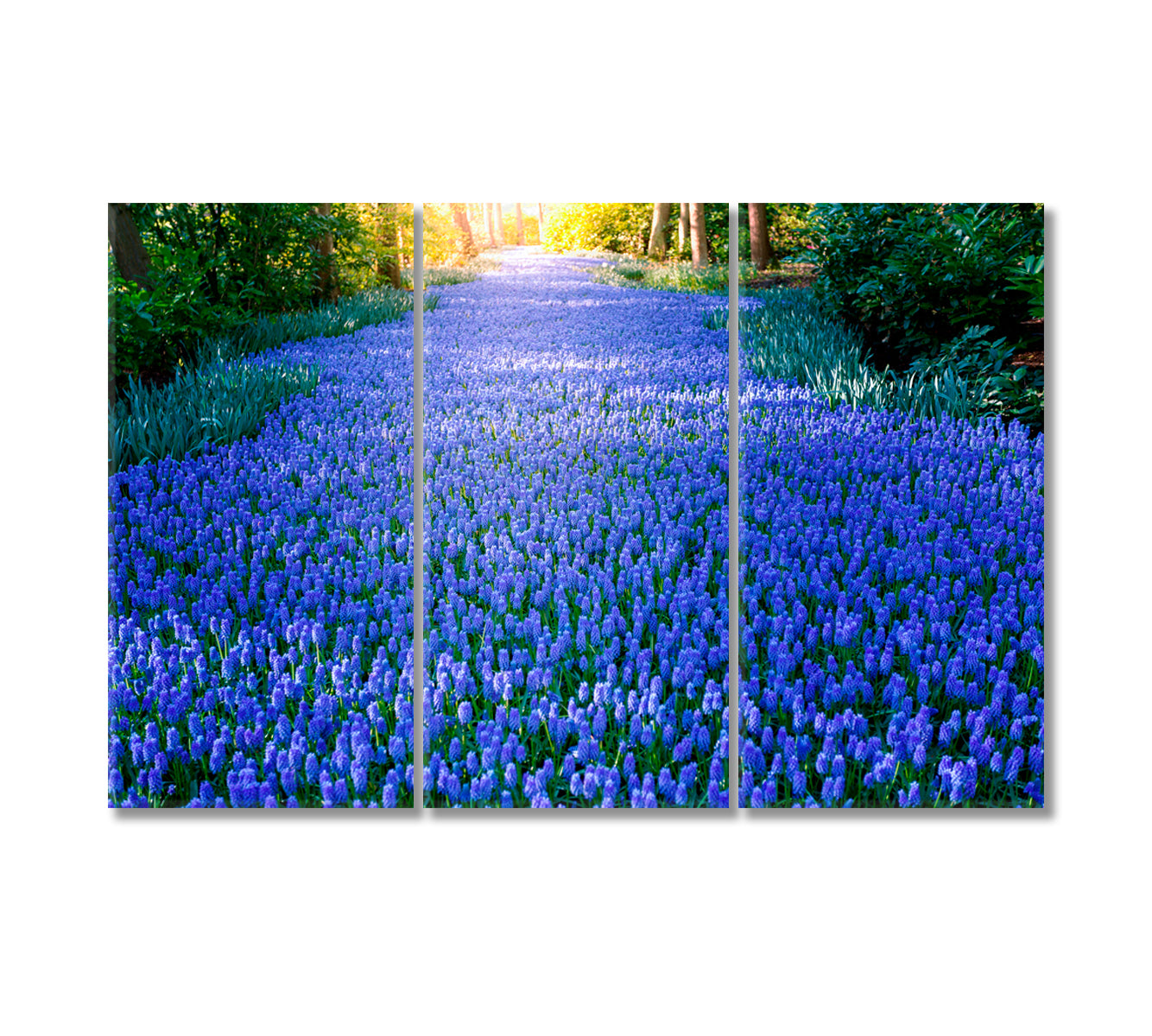 Amazing Bluebonnets Field in Forest Canvas Print-Canvas Print-CetArt-3 Panels-36x24 inches-CetArt