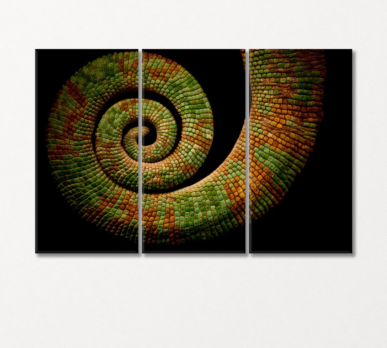 Chameleon Tail Canvas Print-Canvas Print-CetArt-3 Panels-36x24 inches-CetArt