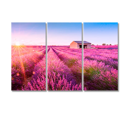 Valensole Lavender Fields on Summer Day Provence France Canvas Print-Canvas Print-CetArt-3 Panels-36x24 inches-CetArt