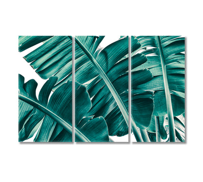 Banana Leaves Canvas Print-Canvas Print-CetArt-3 Panels-36x24 inches-CetArt