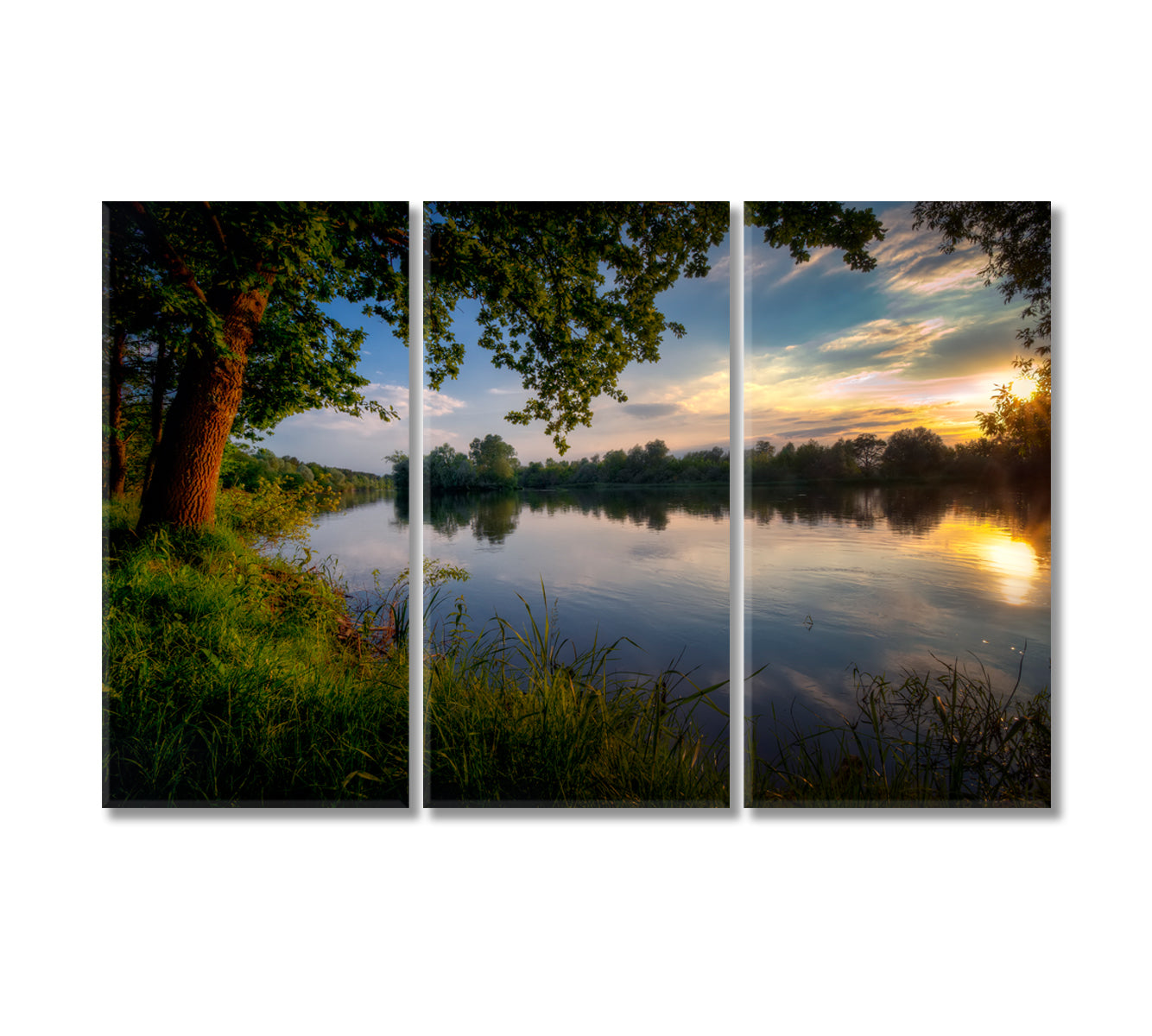 Narew River with Oaks in Poland Canvas Print-Canvas Print-CetArt-3 Panels-36x24 inches-CetArt