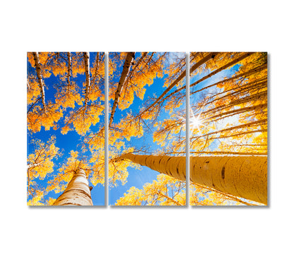 Aspen Forest in Autumn Canvas Print-Canvas Print-CetArt-3 Panels-36x24 inches-CetArt