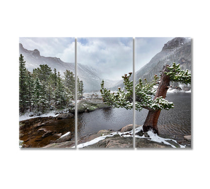 Alpine Mills Lake in Rocky Mountain National Park Colorado Canvas Print-Canvas Print-CetArt-3 Panels-36x24 inches-CetArt