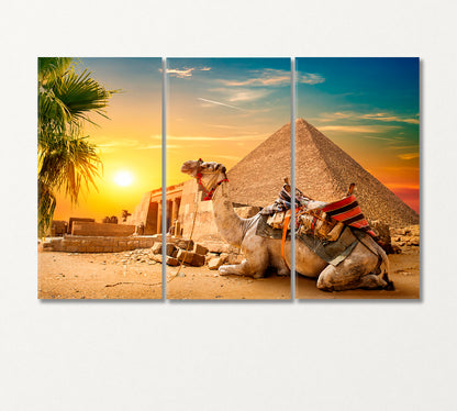 Camel Lies near Egyptian Pyramid Canvas Print-Canvas Print-CetArt-3 Panels-36x24 inches-CetArt