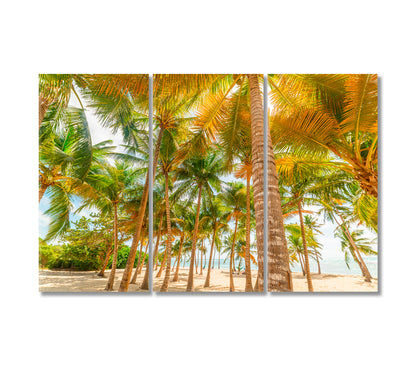 Coconut Trees on White Sandy Beach Canvas Print-Canvas Print-CetArt-3 Panels-36x24 inches-CetArt