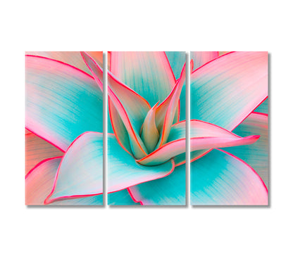 Delicate Pink Agave Leaves Canvas Print-Canvas Print-CetArt-3 Panels-36x24 inches-CetArt