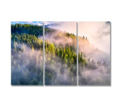 Mountains Slopes with Green Trees in Fog Canvas Print-Canvas Print-CetArt-3 Panels-36x24 inches-CetArt