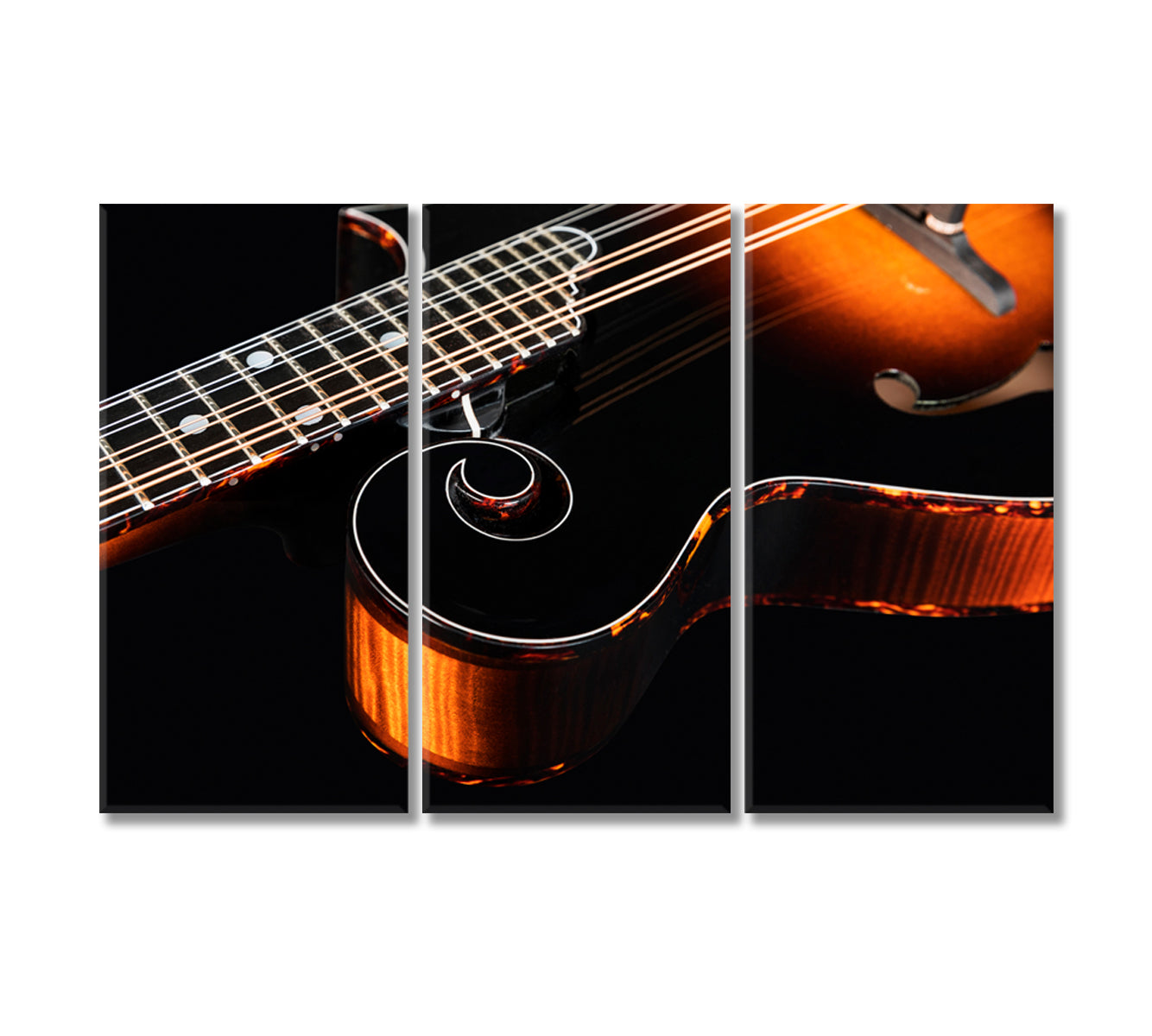 Mandolin Canvas Print-Canvas Print-CetArt-3 Panels-36x24 inches-CetArt