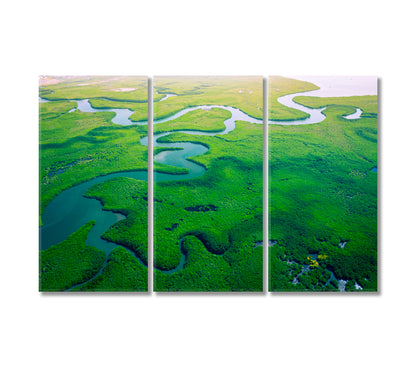 Gambia Mangroves Forest Canvas Print-Canvas Print-CetArt-3 Panels-36x24 inches-CetArt