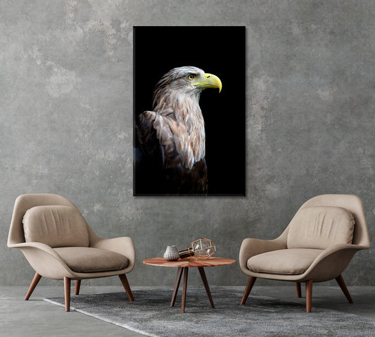 Eagle Close Up Canvas Print-Canvas Print-CetArt-1 panel-16x24 inches-CetArt