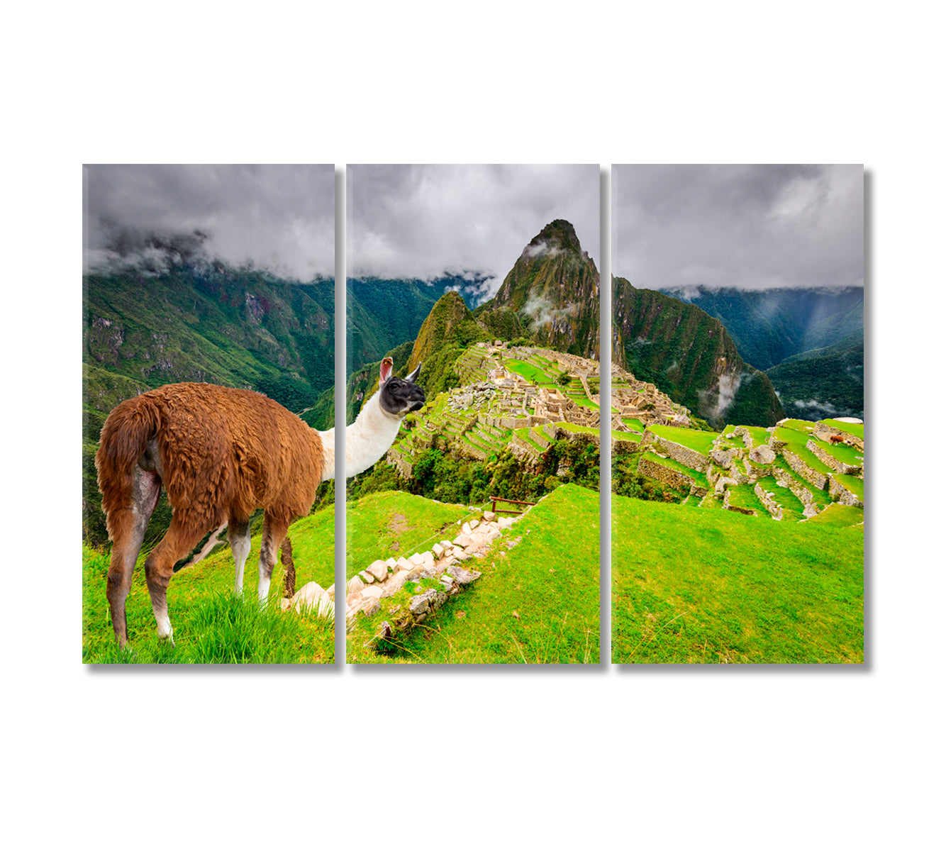 Machu Picchu Ruins of Inca Empire City Peru Canvas Print-Canvas Print-CetArt-3 Panels-36x24 inches-CetArt