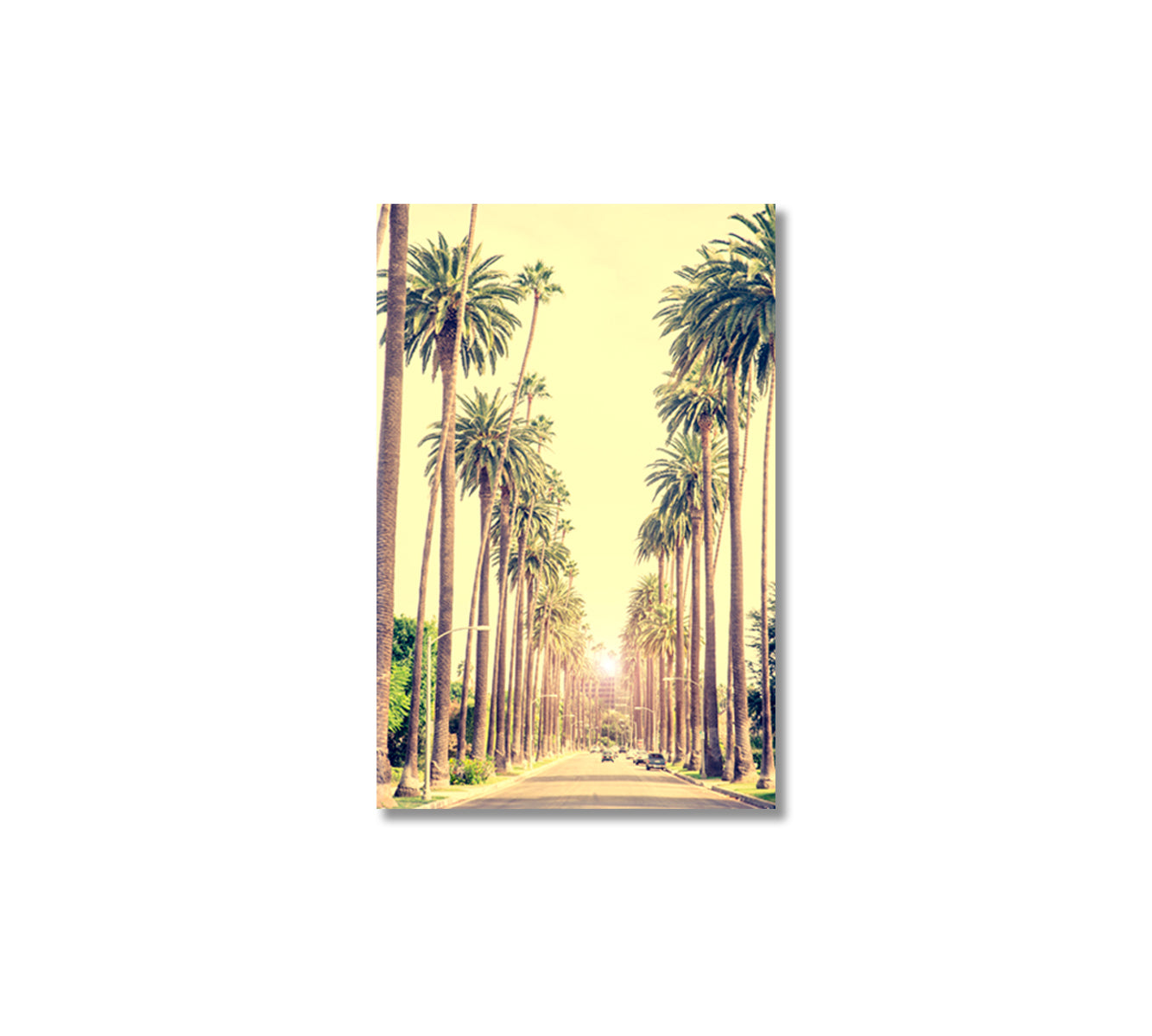 Beverly Hills Street with Palm Trees at Sunset Los Angeles Canvas Print-Canvas Print-CetArt-1 panel-16x24 inches-CetArt