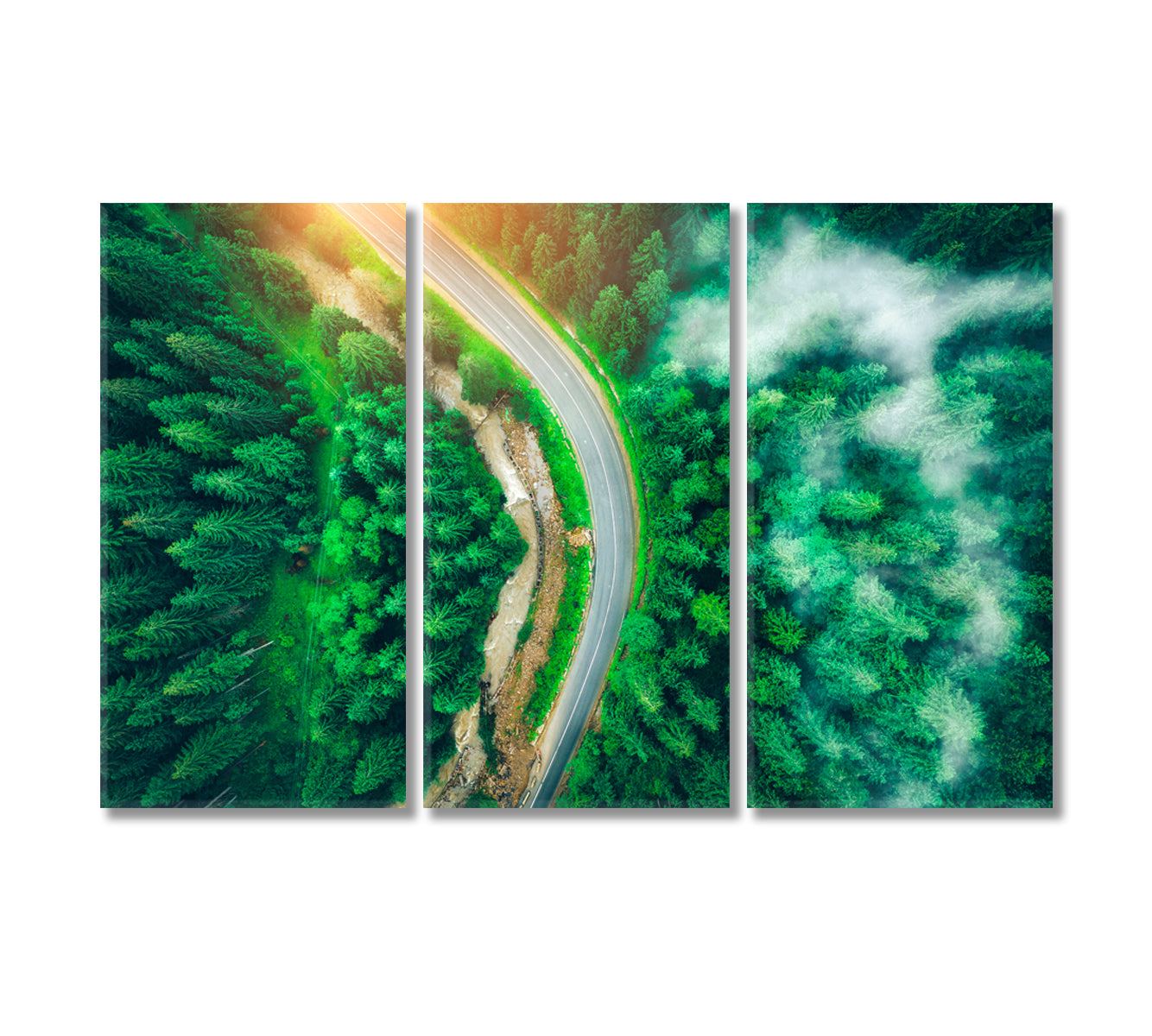 Road in Beautiful Green Pine Forest Carpathian Mountains Ukraine Canvas Print-Canvas Print-CetArt-3 Panels-36x24 inches-CetArt