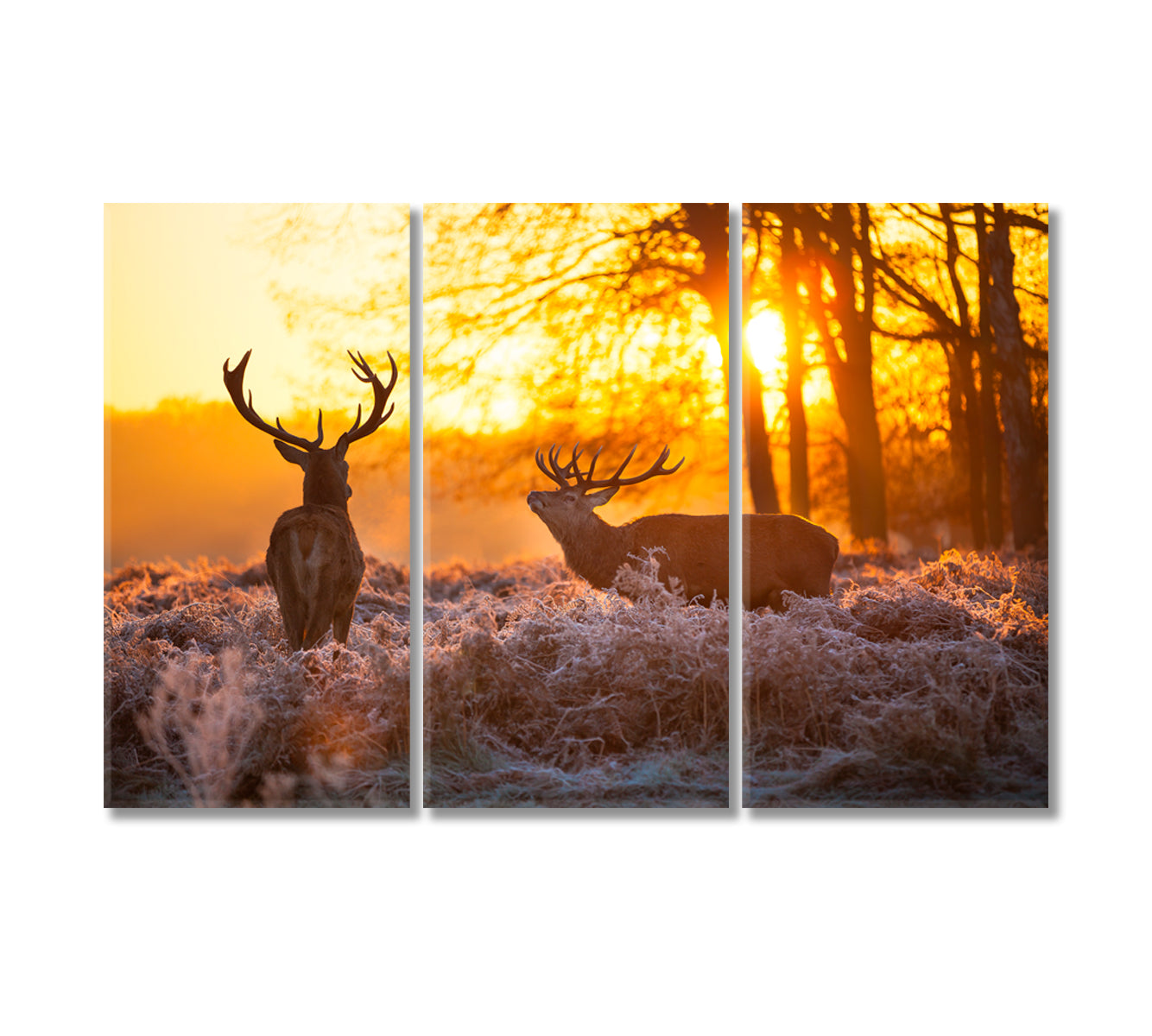 Red Deer in Forest Canvas Print-Canvas Print-CetArt-3 Panels-36x24 inches-CetArt