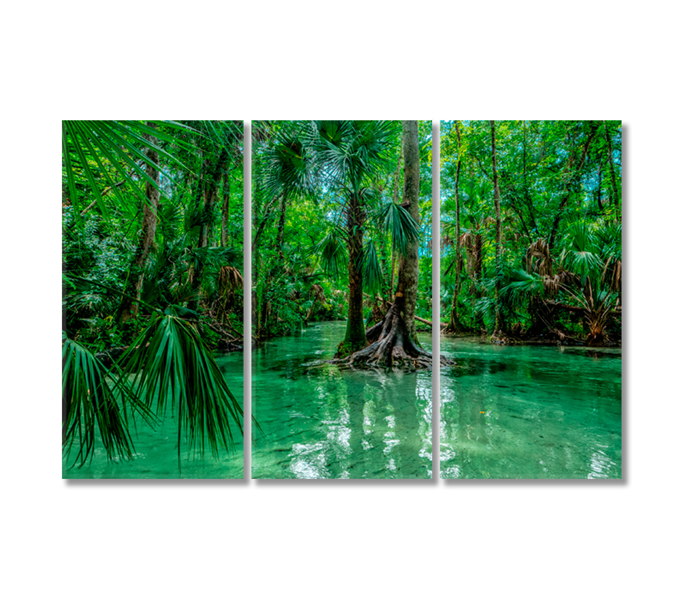 Kelly Park Trees Florida Canvas Print-Canvas Print-CetArt-3 Panels-36x24 inches-CetArt