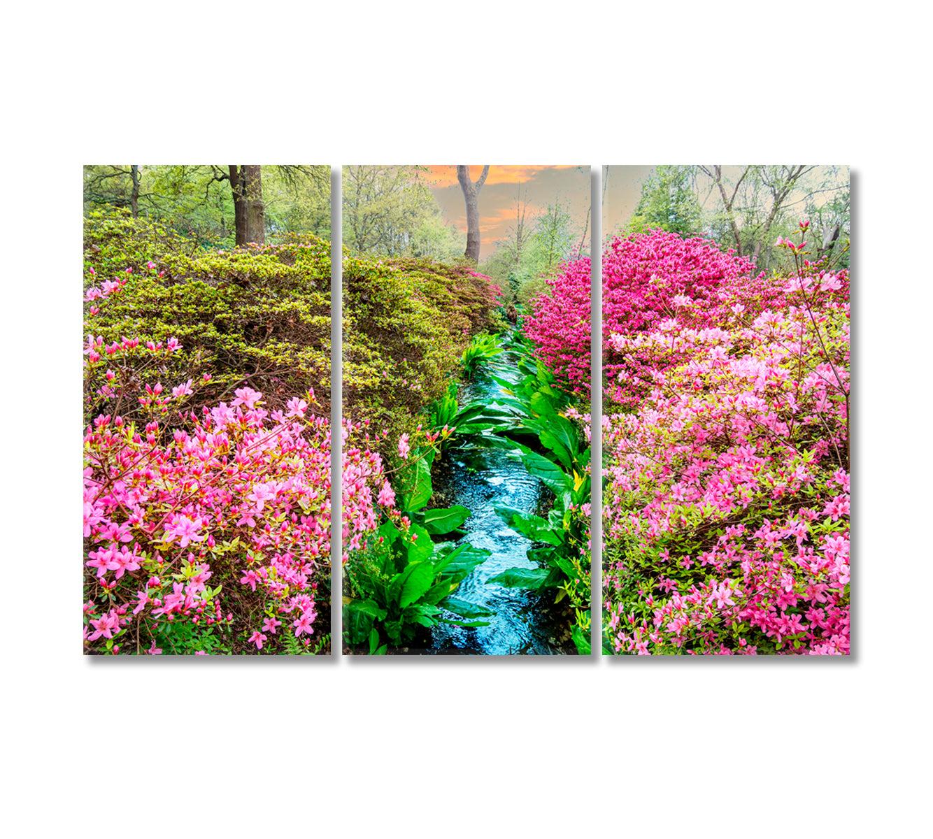 Isabella Plantation of Richmond Park in London Canvas Print-Canvas Print-CetArt-3 Panels-36x24 inches-CetArt