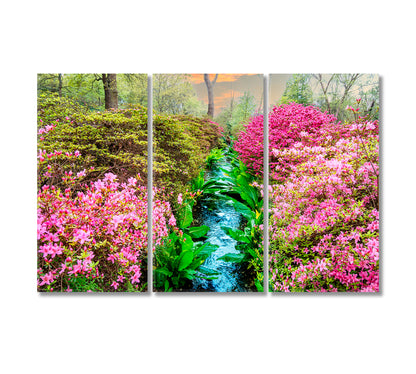 Isabella Plantation of Richmond Park in London Canvas Print-Canvas Print-CetArt-3 Panels-36x24 inches-CetArt