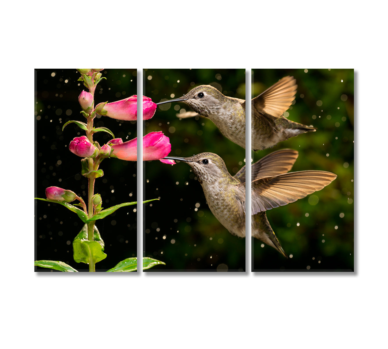 Hummingbird With Flowers Canvas Print-Canvas Print-CetArt-3 Panels-36x24 inches-CetArt